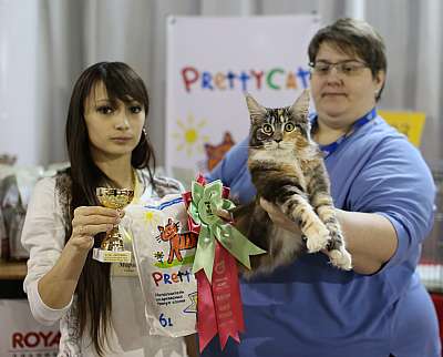 �������� ����� 22-23 ������ 2014, ������������ ��� �������� ����� 22-23 ������ 2014  ������������ ��� 169A9011 copy.jpg